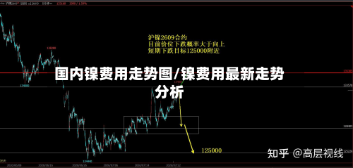 国内镍费用走势图/镍费用最新走势分析-第3张图片