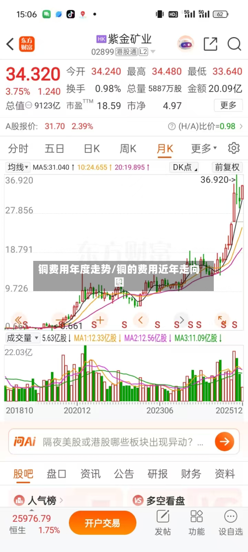 铜费用年度走势/铜的费用近年走向图-第3张图片