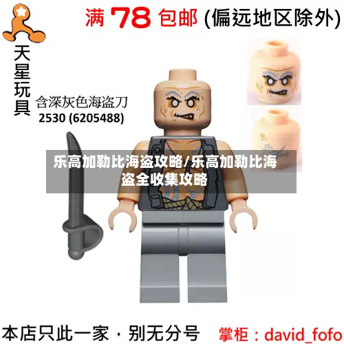 乐高加勒比海盗攻略/乐高加勒比海盗全收集攻略
