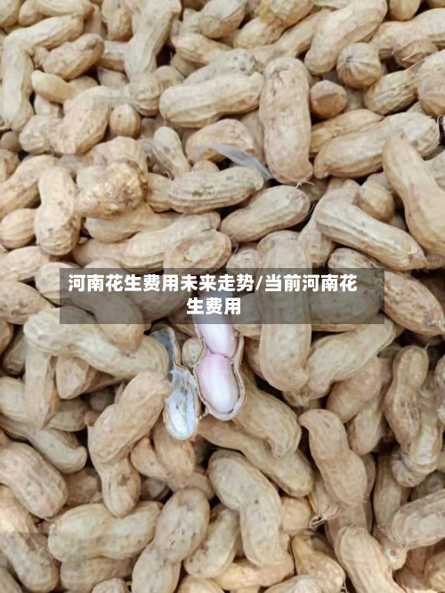 河南花生费用未来走势/当前河南花生费用-第3张图片