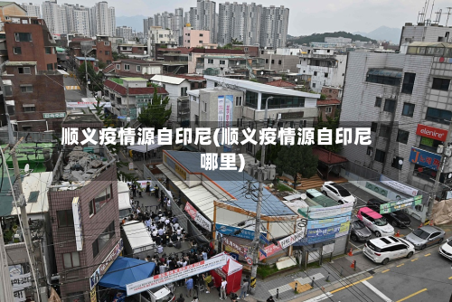 顺义疫情源自印尼(顺义疫情源自印尼哪里)-第2张图片