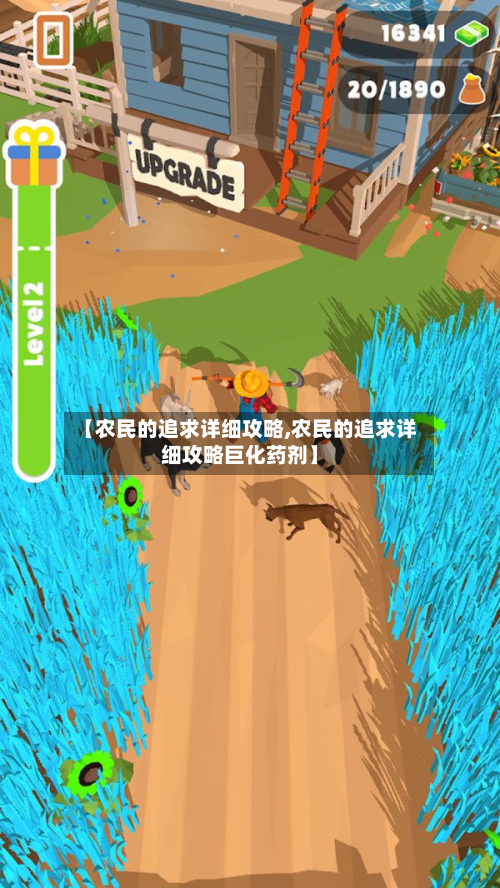 【农民的追求详细攻略,农民的追求详细攻略巨化药剂】