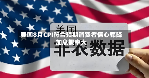 美国8月CPI符合预期消费者信心骤降加息概率大-第2张图片