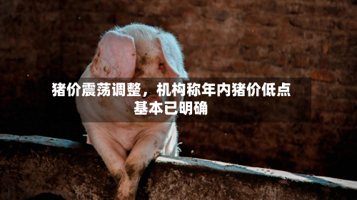 猪价震荡调整，机构称年内猪价低点基本已明确-第3张图片