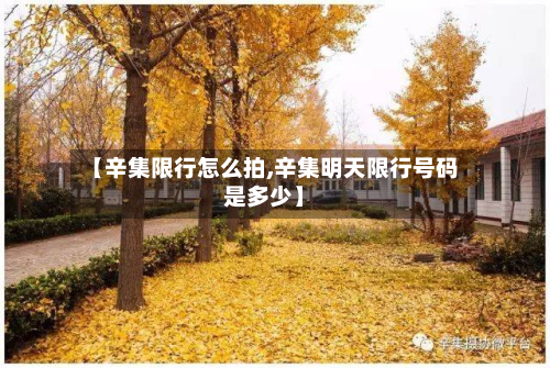 【辛集限行怎么拍,辛集明天限行号码是多少】