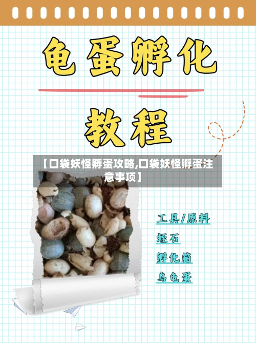 【口袋妖怪孵蛋攻略,口袋妖怪孵蛋注意事项】
