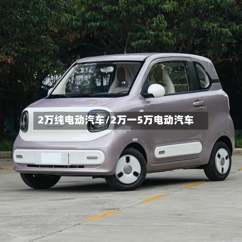 2万纯电动汽车/2万一5万电动汽车