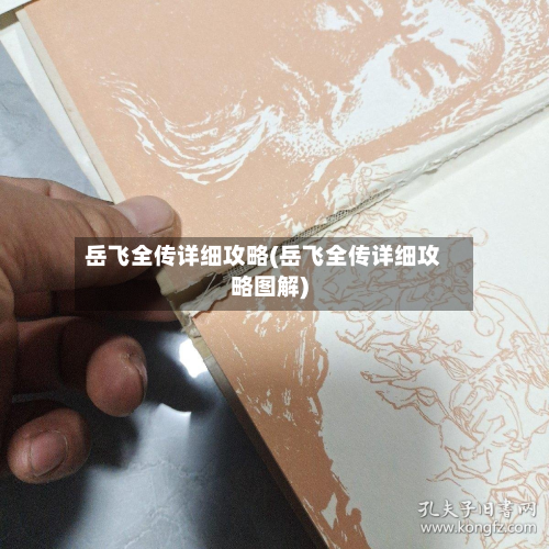 岳飞全传详细攻略(岳飞全传详细攻略图解)