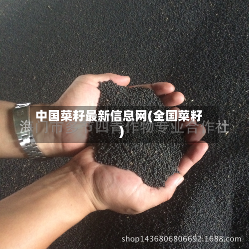 中国菜籽最新信息网(全国菜籽)