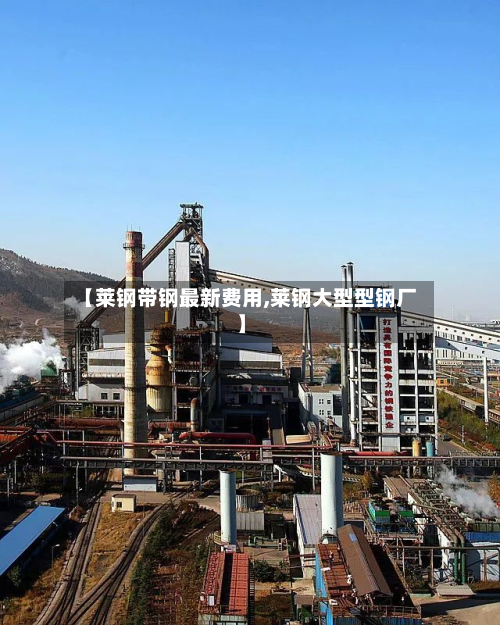【莱钢带钢最新费用,莱钢大型型钢厂】