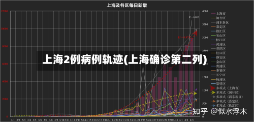 上海2例病例轨迹(上海确诊第二列)-第2张图片