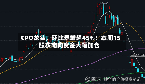 CPO龙头	，环比暴增超45%！本周15股获南向资金大幅加仓-第2张图片