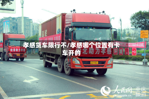 孝感货车限行不/孝感哪个位置有卡车开的