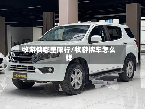牧游侠哪里限行/牧游侠车怎么样-第3张图片