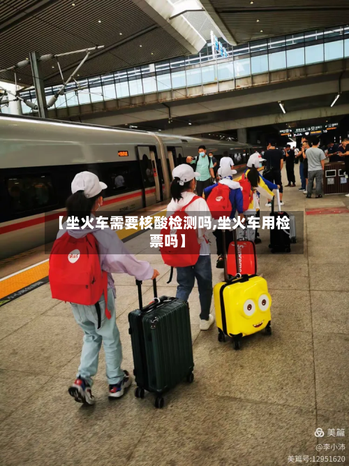 【坐火车需要核酸检测吗,坐火车用检票吗】-第2张图片