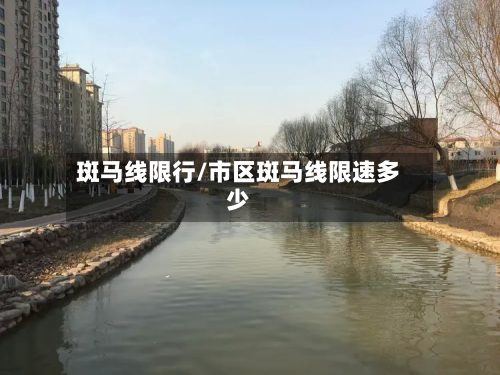 斑马线限行/市区斑马线限速多少-第3张图片