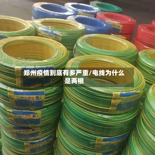 郑州疫情到底有多严重/电线为什么是两根-第2张图片