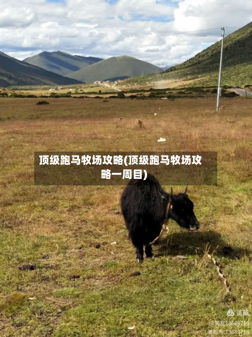 顶级跑马牧场攻略(顶级跑马牧场攻略一周目)