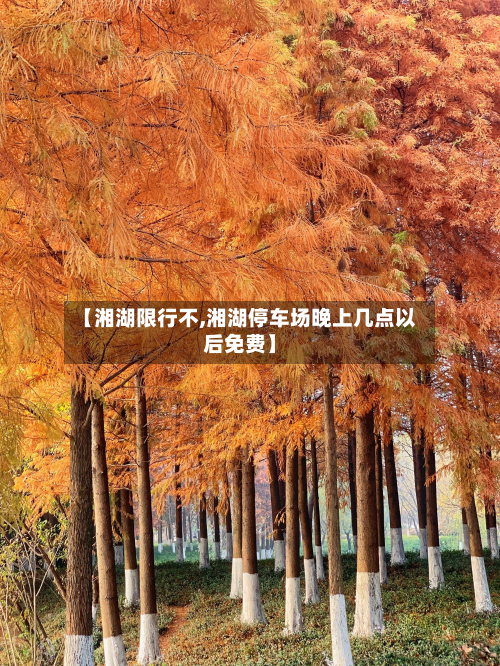 【湘湖限行不,湘湖停车场晚上几点以后免费】-第3张图片