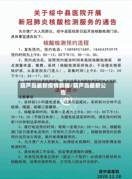 葫芦岛最新疫情数据/葫芦岛最新公告-第3张图片