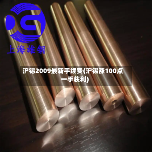 沪锡2009最新手续费(沪锡涨100点一手获利)-第2张图片