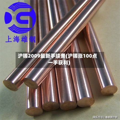 沪锡2009最新手续费(沪锡涨100点一手获利)-第3张图片