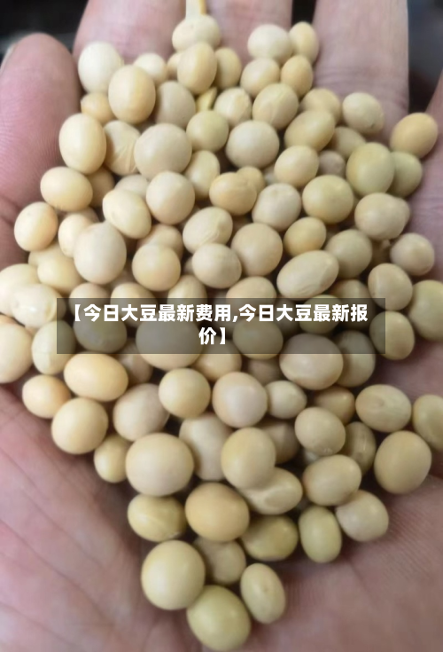 【今日大豆最新费用,今日大豆最新报价】-第3张图片