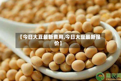 【今日大豆最新费用,今日大豆最新报价】