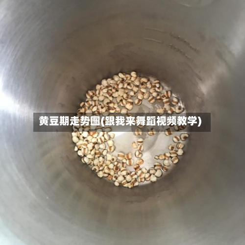 黄豆期走势图(跟我来舞蹈视频教学)