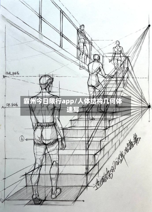 霸州今日限行app/人体结构几何体速写