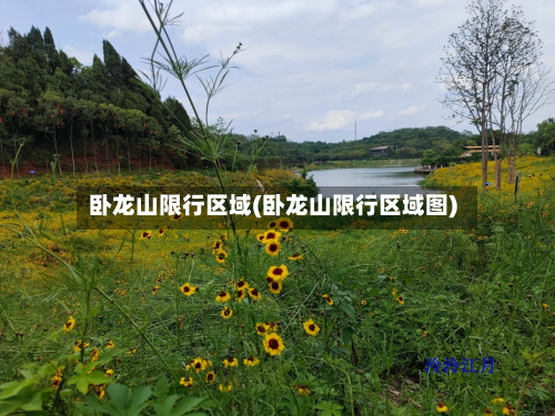 卧龙山限行区域(卧龙山限行区域图)-第2张图片