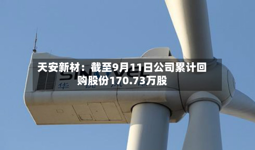 天安新材：截至9月11日公司累计回购股份170.73万股-第1张图片