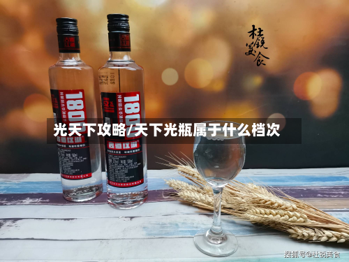 光天下攻略/天下光瓶属于什么档次-第2张图片