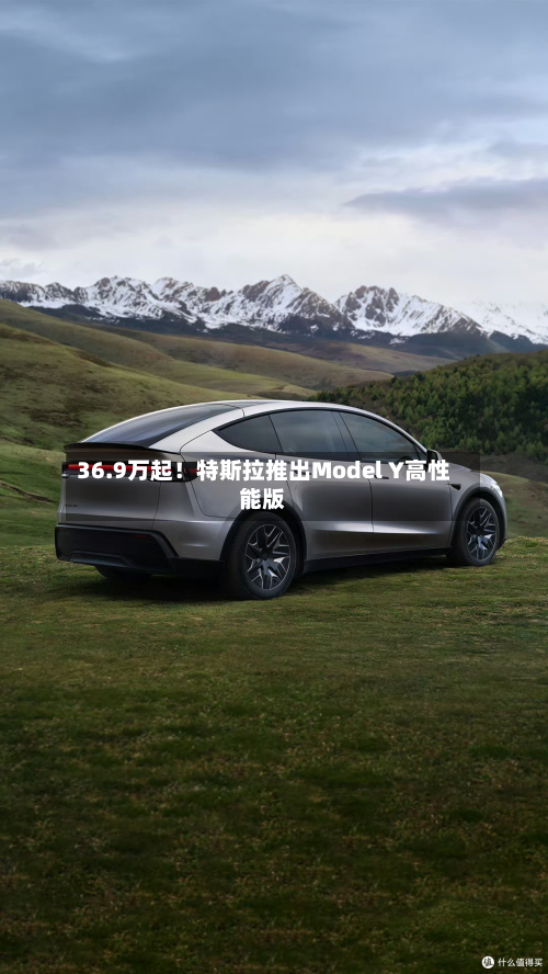 36.9万起!特斯拉推出Model Y高性能版-第2张图片