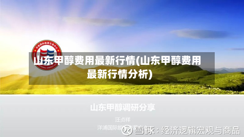 山东甲醇费用最新行情(山东甲醇费用最新行情分析)-第2张图片
