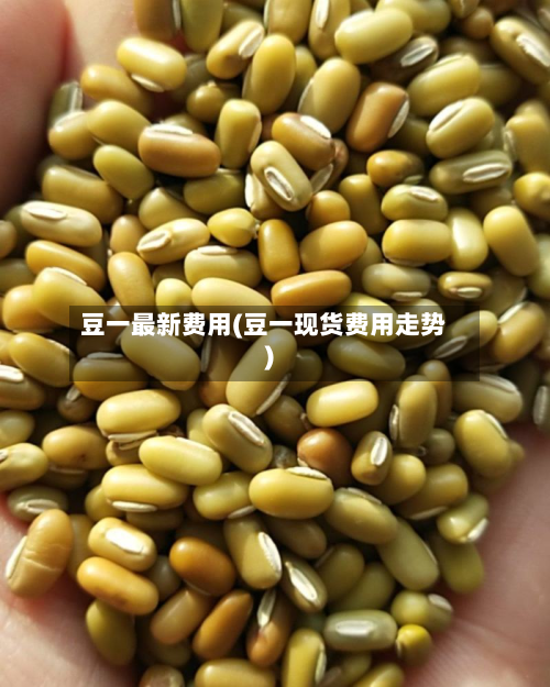 豆一最新费用(豆一现货费用走势)
