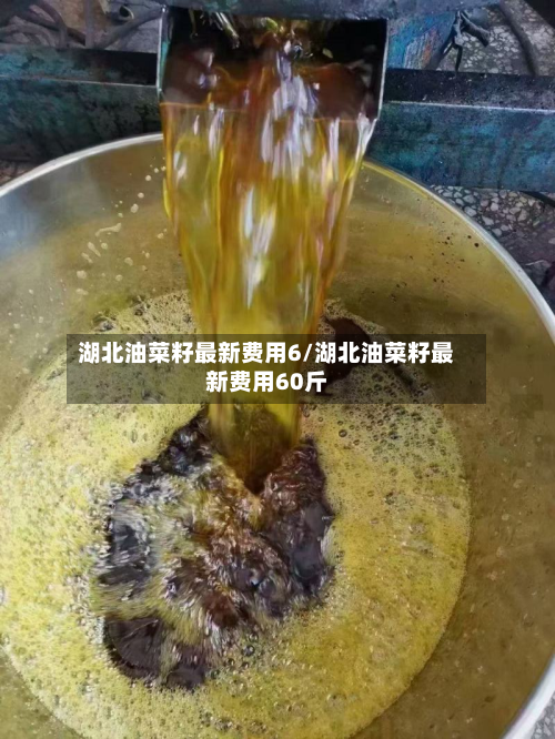 湖北油菜籽最新费用6/湖北油菜籽最新费用60斤