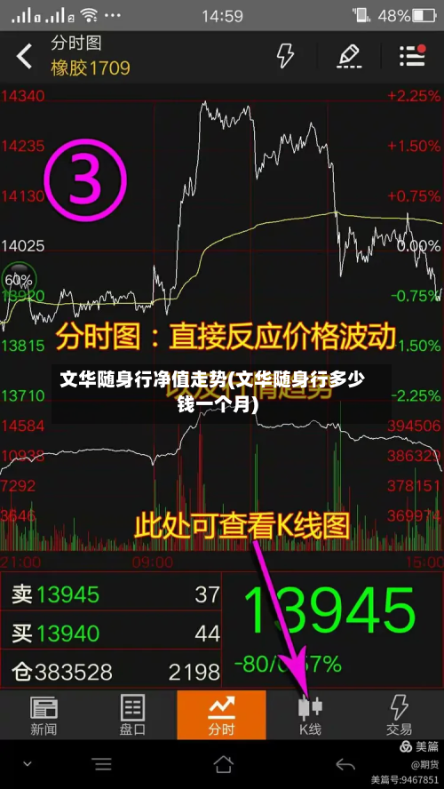 文华随身行净值走势(文华随身行多少钱一个月)