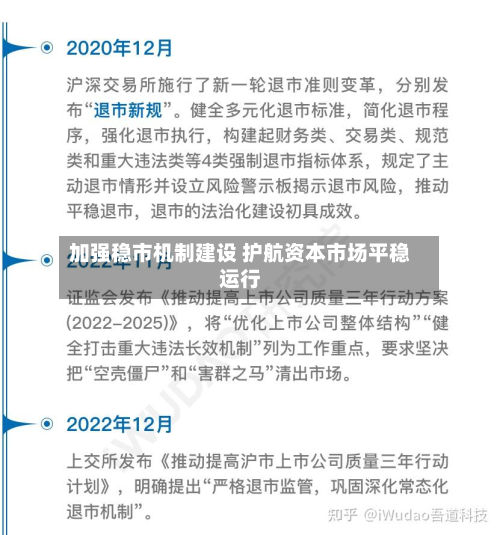 加强稳市机制建设 护航资本市场平稳运行-第3张图片