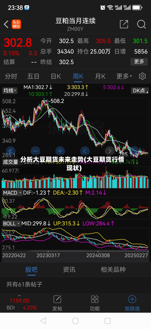 分析大豆期货未来走势(大豆期货行情现状)
