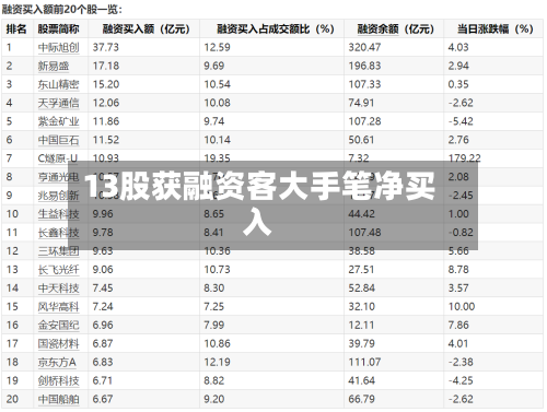 13股获融资客大手笔净买入