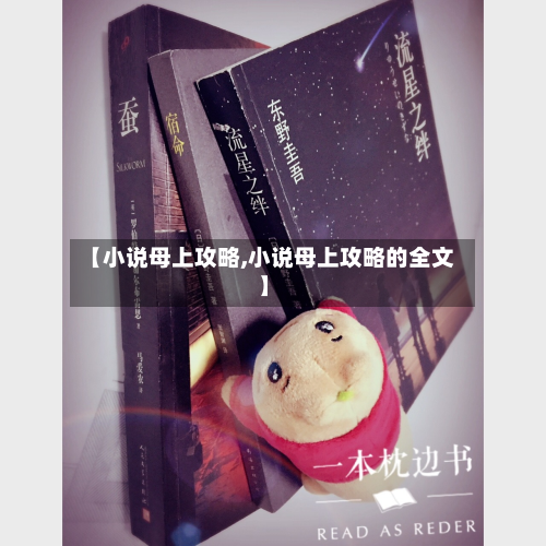 【小说母上攻略,小说母上攻略的全文】-第3张图片