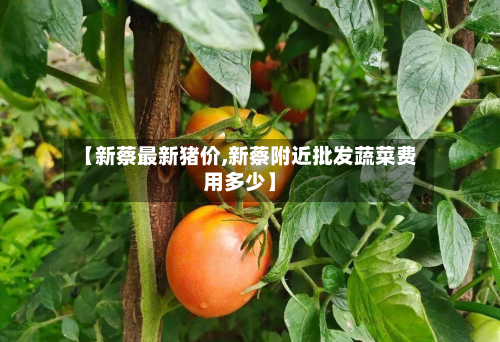 【新蔡最新猪价,新蔡附近批发蔬菜费用多少】-第3张图片