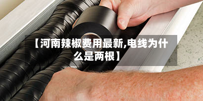 【河南辣椒费用最新,电线为什么是两根】