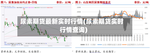 尿素期货最新实时行情(尿素期货实时行情查询)