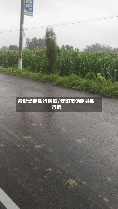最新汤阴限行区域/安阳市汤阴县限行吗-第3张图片