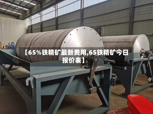 【65%铁精矿最新费用,65铁精矿今日报价表】-第3张图片