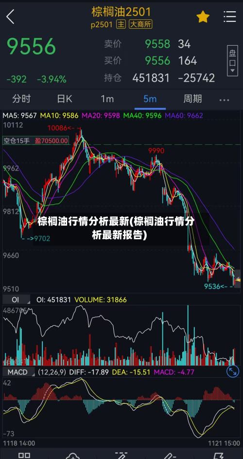 棕榈油行情分析最新(棕榈油行情分析最新报告)