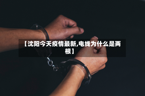 【沈阳今天疫情最新,电线为什么是两根】