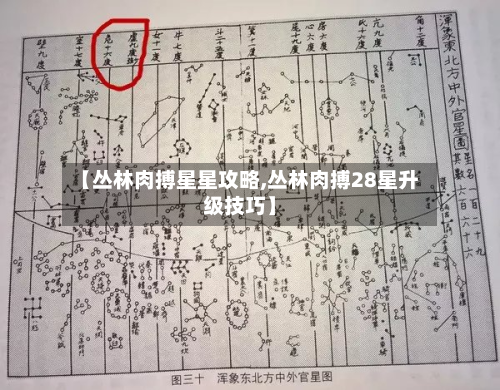 【丛林肉搏星星攻略,丛林肉搏28星升级技巧】-第2张图片